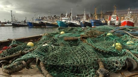 Think about it, Mr Swinney: Why should fishermen have a veto over our EU deals?