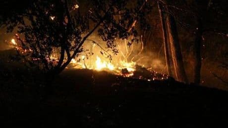 Çanakkale'deki orman yangını soruşturmasında yeni gelişme: 4 şüpheliye adli kontrol