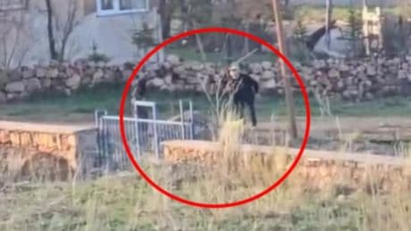 Eşeğe sopalı eziyet: Gözaltına alınıp serbest bırakıldı