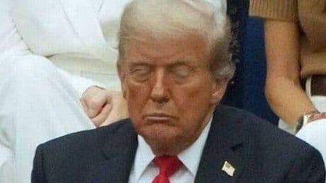 Donald Trump makes mockery of US Open final as he 'falls asleep' after causing chaos