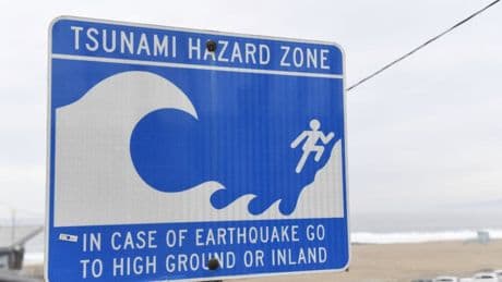 "Il faut que les conditions soient réunies": pourquoi un tsunami se forme après un séisme
