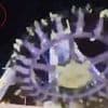 Terrifying moment '360 Degrees' swinging theme park ride breaks in two before crashing to the ground leaving 23 guests injured in Saudi Arabia
