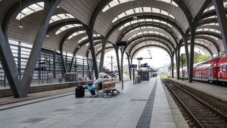 Kiel: Baum fällt um – und in der Landeshauptstadt fährt kein Zug mehr