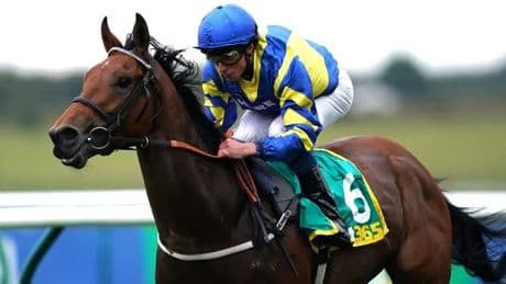 Legendary racehorse Trueshan suffers fatal injury as Glorious Goodwood plunged into despair