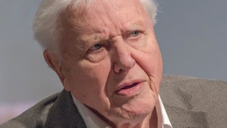 David Attenborough pinpoints location that will ‘save our world’ as he nears ‘end of his life’