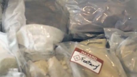 32 guns seized as part of $7M Ontario fentanyl bust, most weapons came from U.S.