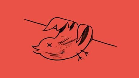 Twitter: Mein schönster Tweet