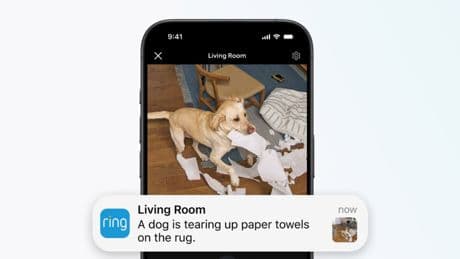 Ring-Kameras bekommen smarte Tiererkennung