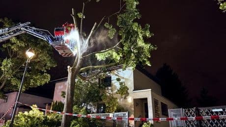 Aufräumarbeiten: Berliner Feuerwehr: 780 Einsätze wegen Unwetters
