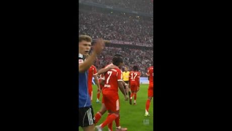 Nach Bayern-Tor - HSV-Frust für Kameramann