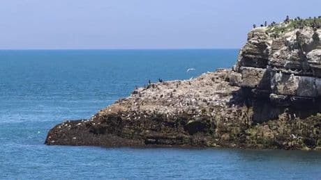 ‘Stunning’ Anglesey holiday cottage with sea views, hot tub and availability in school holidays