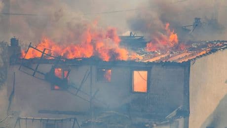 Waldbrände bei Athen und auf Kreta - Feuer in Griechenland fressen die Häuser