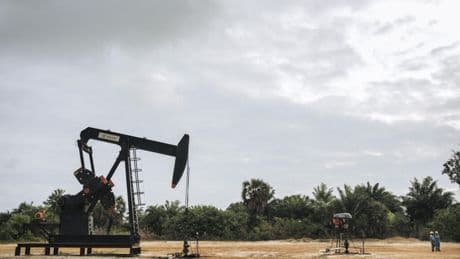 RDC: nouvel appel d'offres pour des blocs pétroliers, «un grave recul pour le climat», dit Greenpeace