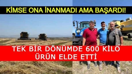 Kimse ona inanmadı ama aldırmadı! Tarlasına ata tohumu ekti: Tek bir dönümde 600 kilo ürün elde etti