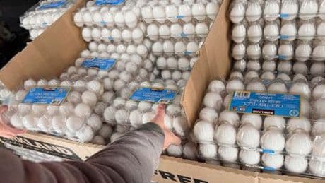 Donald Trumps Handelskrieg: Inflation in den USA steigt im Juni unerwartet stark