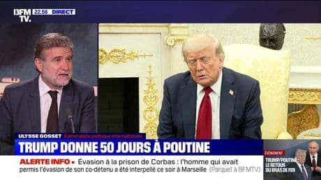 Trump : "Je suis très déçu par Poutine" - 14/07