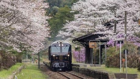Le Seven Stars, ce train japonais où tout n’est que luxe, calme et volupté