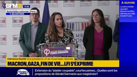 Emmanuel Macron "tout d'un coup serait adepte de la participation populaire", estime Clémence Guetté à propos d'un possible référendum