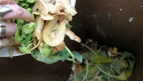 Neue Regeln zum Plastik-Anteil: So kontrollieren Städte jetzt den Biomüll