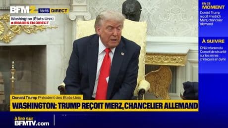 Guerre en Ukraine: Donald Trump compare le conflit à "deux jeunes enfants qui se battent dans un parc"
