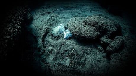 Mariana Çukuru'nda bile var! Okyanusun her katmanında mikroplastik izi
