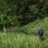 Een kilometer wandelen door gevoelens van rouw en verlies, om er weer hoopvol uit te komen
