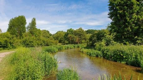 Thames Water fined £123m over sewage – but not £1 of it earmarked for clean-up