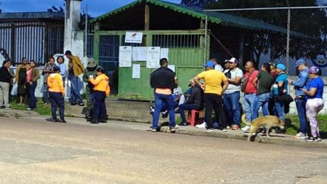 Venezuela'da gerilimli seçim: İlk kez Esequibo için oy kullanılıyor