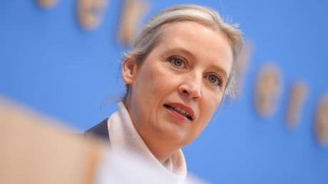 La strana "strage" dei candidati Afd