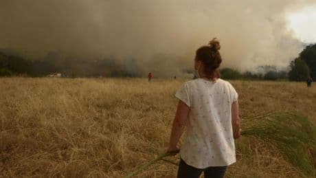 Los fuegos de Ourense mantienen una mala calidad de aire: el humo y la ceniza llegan a otras provincias