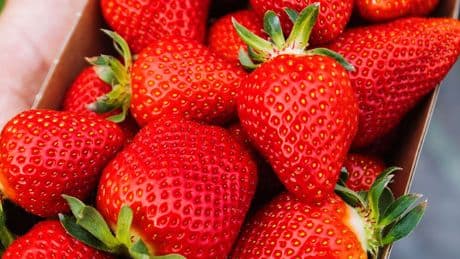 Ernährung - Darum sollten Sie Erdbeeren nicht sofort waschen