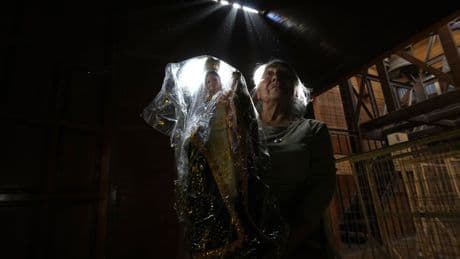 Photos capture Chileans devotion and celebration for patron saint Our Lady of Mount Carmel