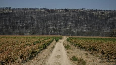 "Les conditions ne sont pas bonnes": la préfecture de l'Aude alerte sur "un risque extrême feux de forêt" ce dimanche