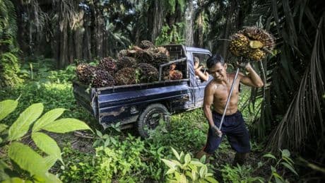 Indonesien soll das nächste China werden