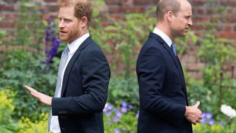 'Prince Harry and Prince William MUST bury the hatchet - or there'll be incalculable damage'
