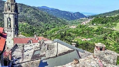 Val Petronio, da risorsa vitale a boschi abbandonati: “In 80 anni persi 400 ettari di castagneti”