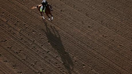 Kentucky Derby 2025: Live Odds, Bets, And Baeza’s Fight With Himself