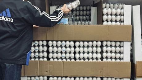 Schweizer Regierung erleichtert Import von Hühnereiern - Bedarf sonst nicht gedeckt