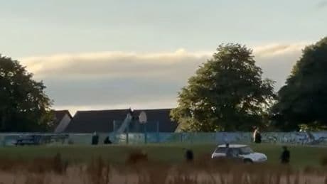Footage captures machete thugs in brawl that left XL Bully dog dead