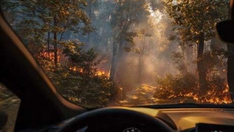 ¿Tu coche estuvo cerca de un incendio? Revisa estos componentes clave