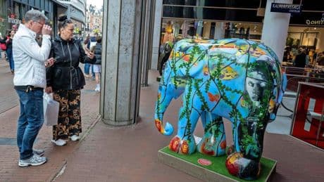 Meer dan vijftig olifanten in de Amsterdamse straten: ’Symbool voor alle dieren die hun leefgebied verliezen’