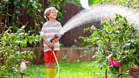 Hoe bewater je tuin zonder liters drinkwater te verspillen? ’Accepteer dat jouw gazon geel wordt’
