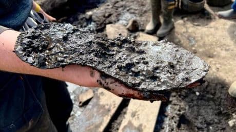 Von römischem Soldaten getragen - Forscher finden 2000 Jahre alte Leder-Sandalen