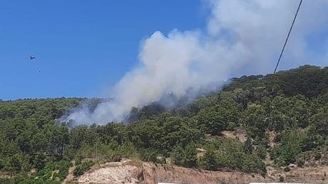 Antalya'da orman yangını