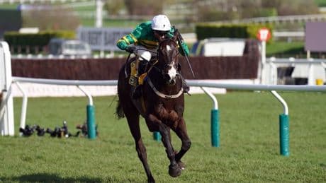 Templegate tips in-form Willie Mullins to strike again on day three of Punchestown Festival