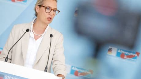 AfD: Die AfD will seriöser werden - und wirft ein besonders umstrittenes Mitglied aus der Partei