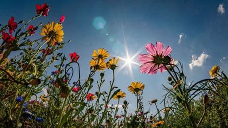 Wettervorhersage: Neuschnee in den Bergen - Sonniges Wochenende in Sicht