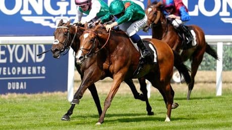 Calandagan's trainer reacts to King George win at Ascot - 'I never had any doubts'