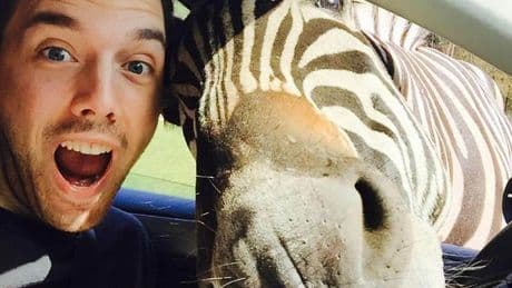 Popular travel selfie could get you banned from a nature reserve warns experts