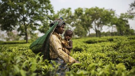 The health risks from climate change that almost no one talks about